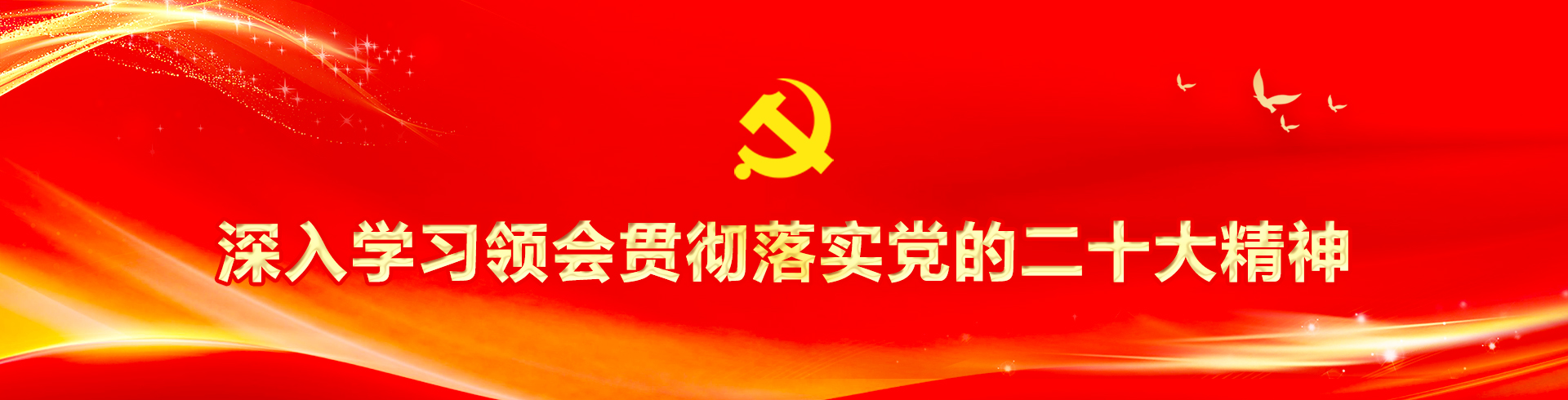 深入學(xué)習(xí)領(lǐng)會貫徹落實黨的二十大精神